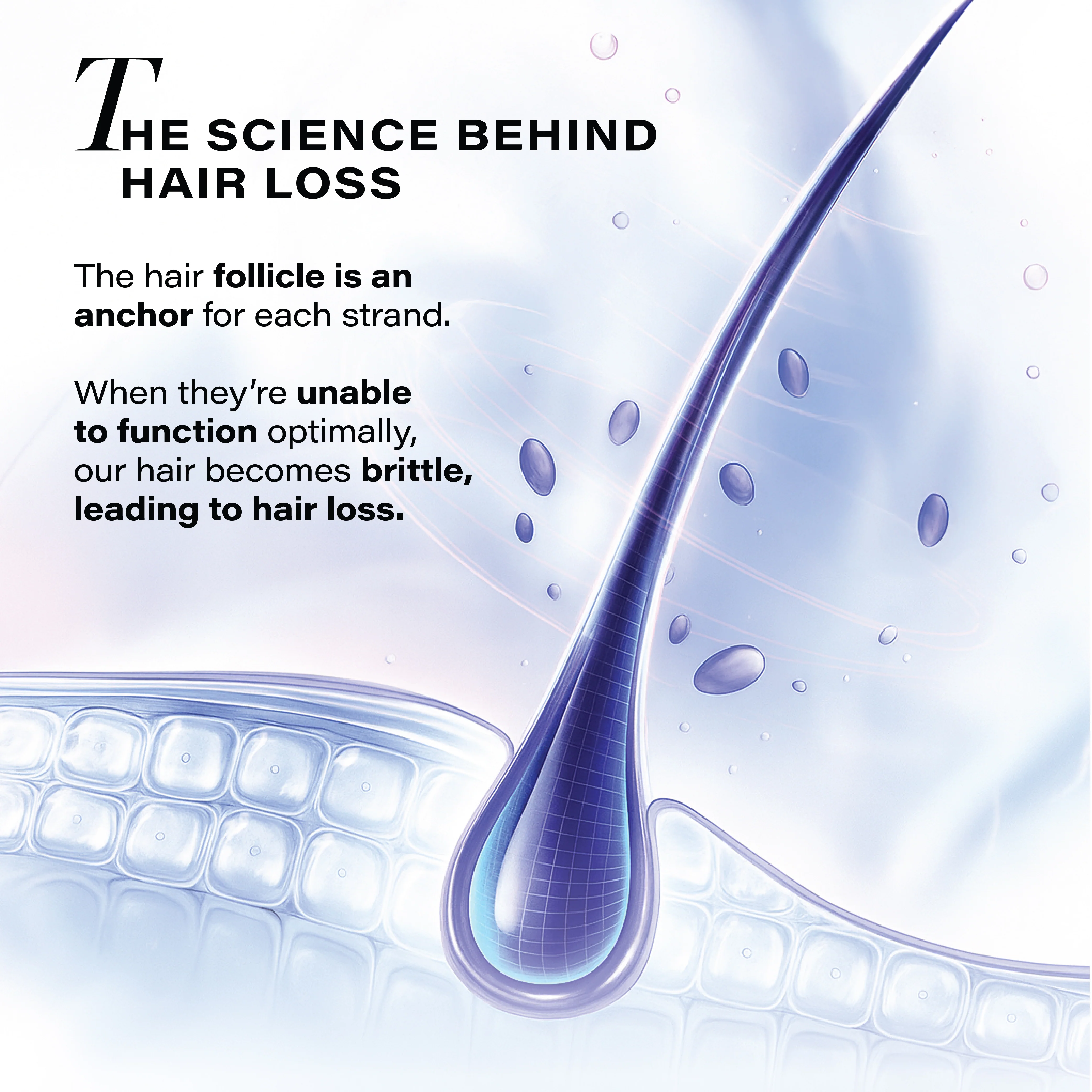 Follicle Revive Scalp Serum for Hair Growth, 50ml - Image 4