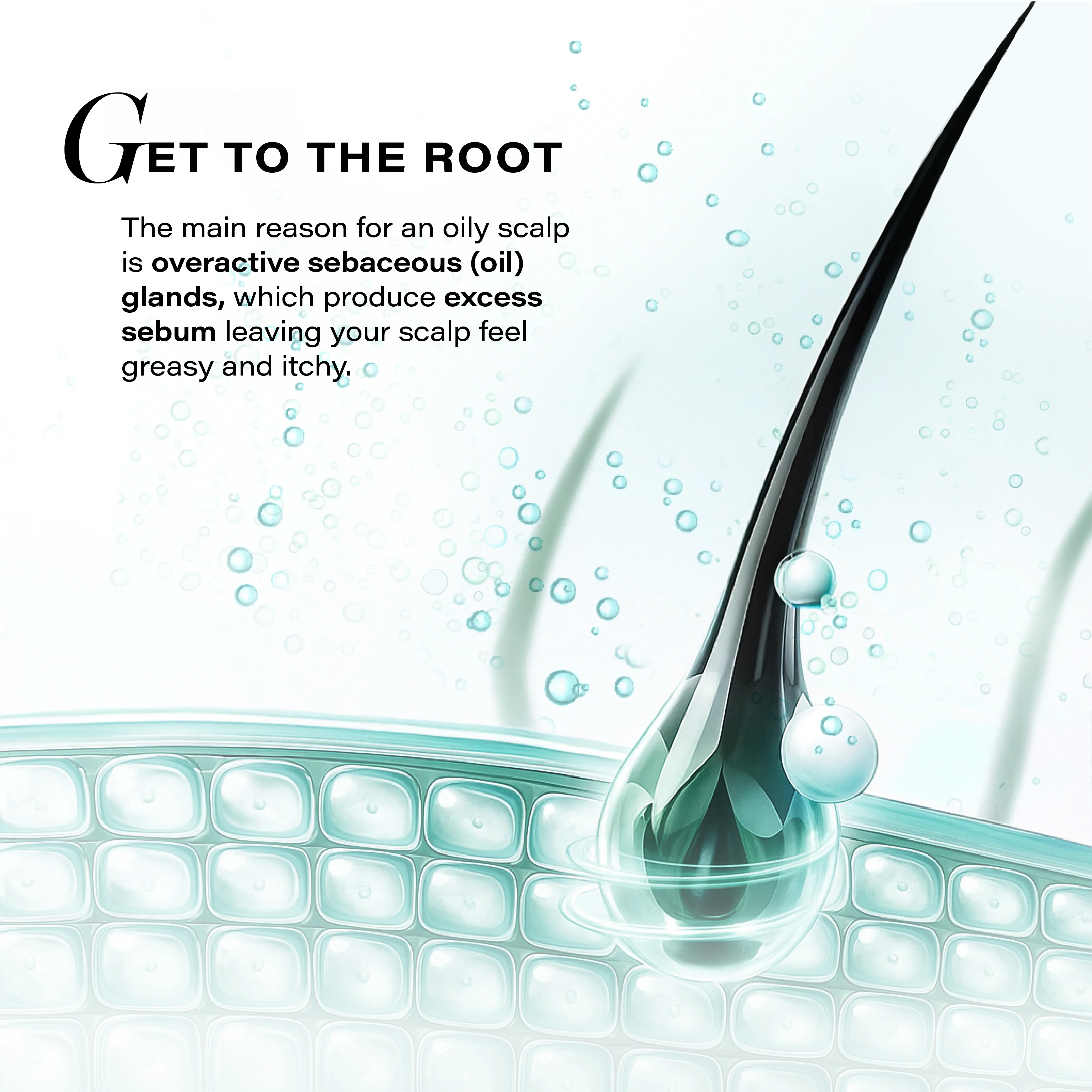 Sebosys Control Scalp Serum for 48hrs Sebum Control, 50ml - Image 4